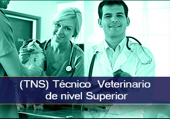 veterinario2.jpg